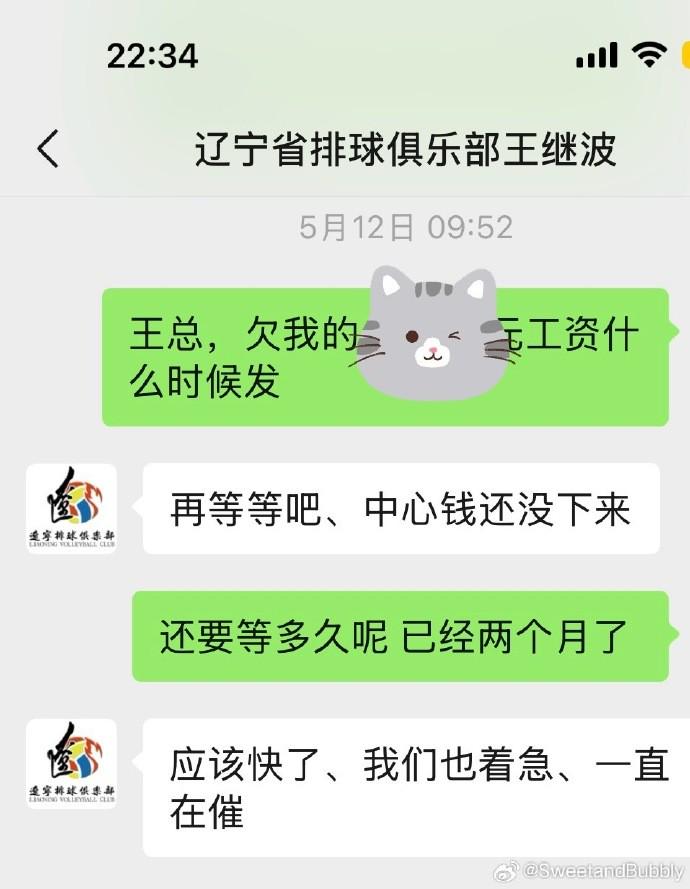 男排女排一, 莓女子排球, lta